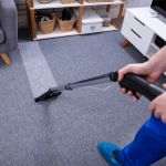 Limpeza de carpete profissional